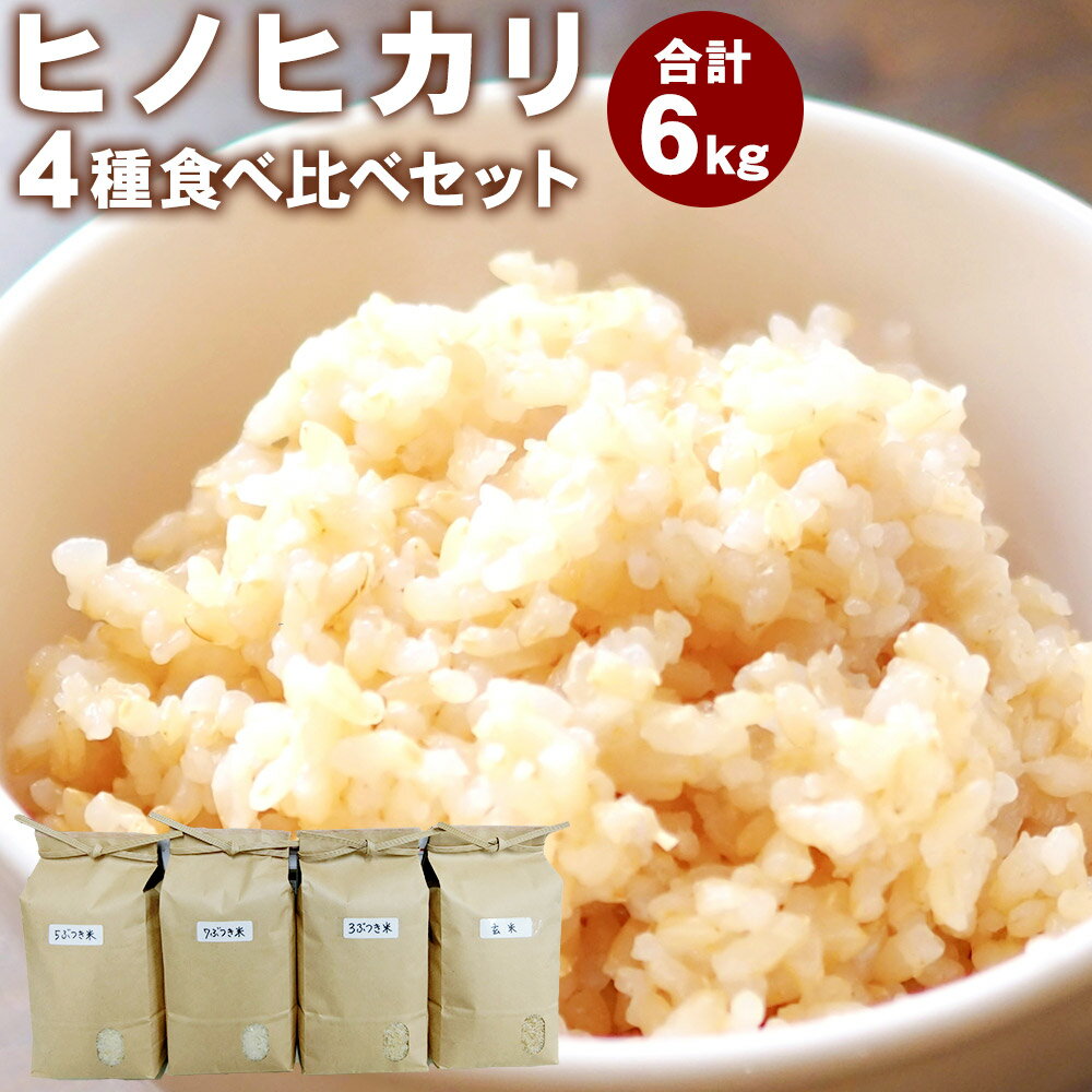 [令和5年産]ヒノヒカリ 4種 食べ比べ セット 計6kg 1.5kg×4種 (玄米・3分つき・5分つき・7分つき) 精米 お米 米 九州 熊本県 菊陽町 送料無料