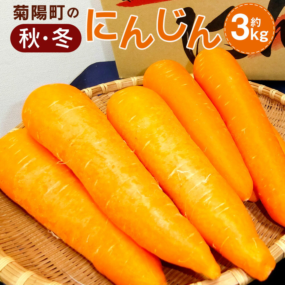 【ふるさと納税】菊陽町の秋冬にんじん 約3kg 産地ブランド 菊陽にんじん にんじん 人参 ニンジン 秋 冬 野菜 国産 産地直送 九州 熊本県 菊陽町 送料無料