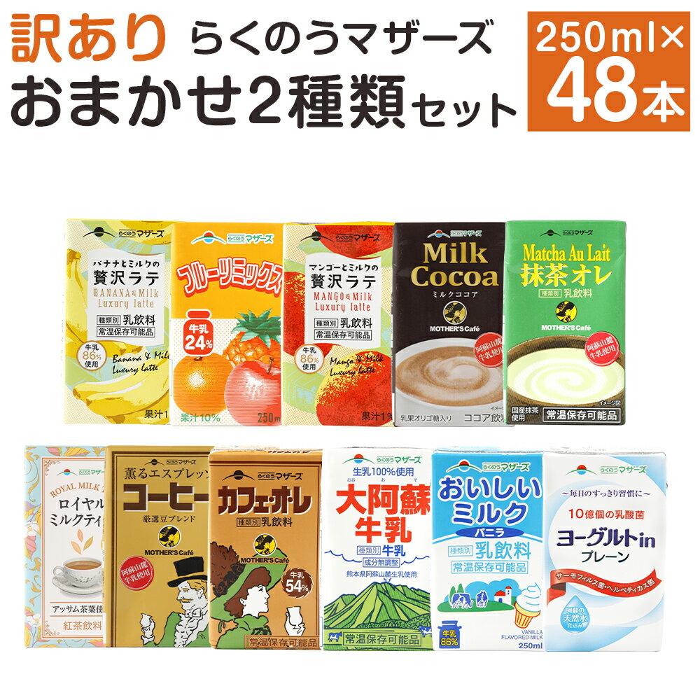 【ふるさと納税】【訳あり】らくのうマザーズ LLシリーズ 250ml×48本セット 乳飲料 全11種 紙パック ジュース 牛乳 おまかせ セット 詰め合わせ 常温 九州 熊本県 菊陽町 送料無料