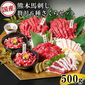 【ふるさと納税】馬刺し 国産 赤身 熊本 専用醤油 たれ付き 肉 絶品 ヘルシー 馬肉 馬刺 上赤身 トロ 中トロ たてがみ ユッケ 赤身 南小国 熊本肥育 冷凍 生食用 たっぷり 500g 贅沢6種さくらセット 送料無料