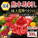 【ふるさと納税】 国産 熊本 馬刺し 上赤身 霜降り 大トロ 300g 馬肉 馬 専用醤油付き 人気 新鮮 本格 阿蘇 南小国町…