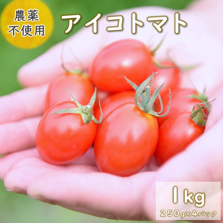 【ふるさと納税】 アイコトマト 1kg ミニトマト トマト とまと 野菜 無農薬 農薬不使用 化学肥料不使用 愛情たっぷり 新鮮 産地直送 熊本 阿蘇 南小国町 送料無料のサムネイル