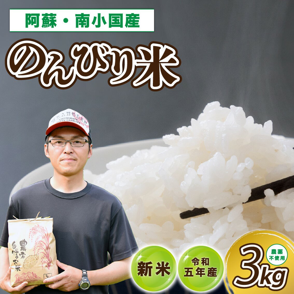 【ふるさと納税】 のんびり米 3kg 令和5年産 新米 無農薬 農薬不使用 米 白米 玄米 玄米対応可能 南小国町 ギフト 送料無料のサムネイル