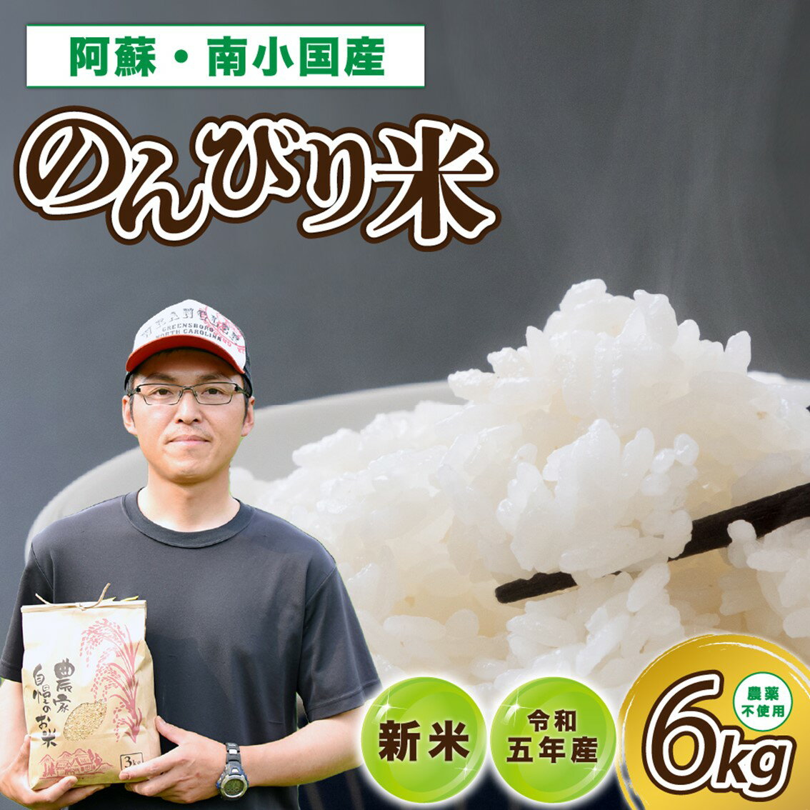【ふるさと納税】 のんびり米 6kg 令和5年産 新米 農薬不使用 米 白米 玄米 玄米対応可能 南小国町 ギフト 送料無料のサムネイル