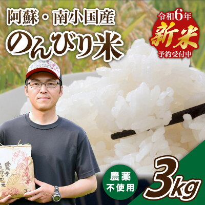 楽天ふるさと納税　【ふるさと納税】 のんびり米 3kg 予約 令和6年産 新米 無農薬 農薬不使用 米 白米 玄米 玄米対応可能 南小国町 ギフト 送料無料