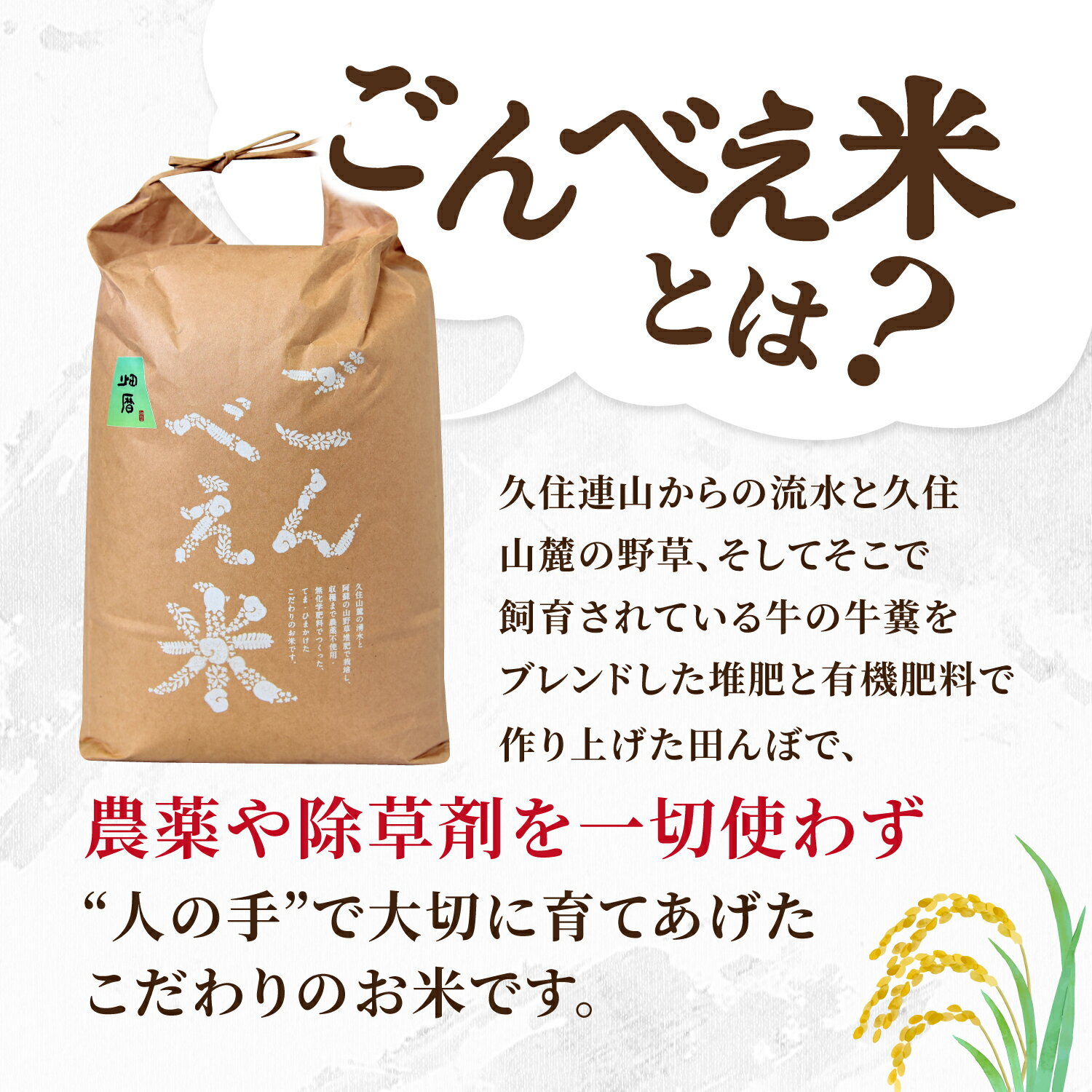 【ふるさと納税】令和6年 ごんべえ米 10kg 無農薬 農薬不使用 白米 玄米 玄米対応可能 米 コメ 熊本 阿蘇 南小国町 送料無料