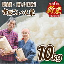 【ふるさと納税】令和6年 ごんべえ米 10kg 無農薬 農薬