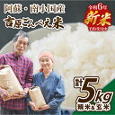 【ふるさと納税】令和6年 ごんべえ米 5kg 無農薬 農薬不