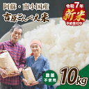 【ふるさと納税】【予約受付】令和7年産・新米 ごんべえ米 10kg 令和7年産 白米 玄米 精米 米 お米 玄米対応可能 ご飯 ごはん 無農薬 農薬不使用 産地...