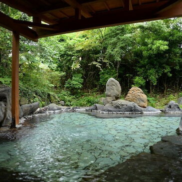 【ふるさと納税】四季の里 はなむら 一泊二日ペア宿泊券(小田温泉)