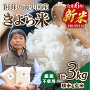 【ふるさと納税】米 白米 玄米 食べ比べ 3kg 予約 定期