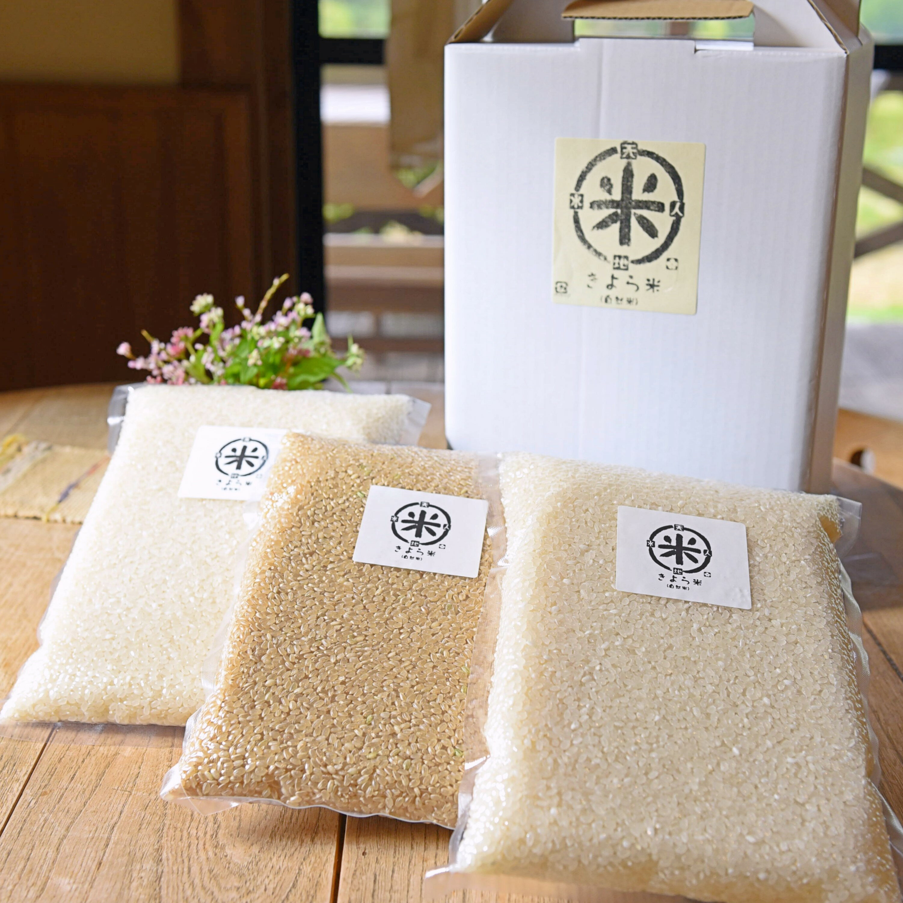 【ふるさと納税】米 白米 玄米 食べ比べ 3kg 無農薬 農薬不使用 有機栽培 令和3年 お米 真空パック きよら米 熊本 南小国 送料無料