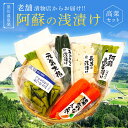 【ふるさと納税】 浅漬け バラエティ セット 6種 大根 胡瓜 きゅうり 茄子 ナス 長芋 人参 阿蘇高菜 高菜漬け 高菜 漬物 高菜漬物 お取り寄せ ギフト ...