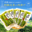【ふるさと納税】 阿蘇高菜 浅漬け 160g 5個 高菜 漬物 高菜漬け 高菜漬物 お取り寄せ ギフト 贈答用 黒川温泉 九州 熊本 阿蘇 南小国町 送料無料