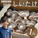 商品説明 名称 【阿蘇・南小国町産】極上の香りを放つ希少な 原木しいたけ 1kg 内容量 原木しいたけ…1kg 原産地熊本県　南小国町 加工地熊本県　南小国町 消費期限 発送日より14日 保存方法：10℃以下にて保存 事業者下城きのこ園 ・ふるさと納税よくある質問はこちら 【注意事項】 ・寄付申込みのキャンセル、返礼品の変更・返品はできません。あらかじめご了承ください。 ・また、寄附者様の都合により返礼品がお届けできない場合、返礼品の再送は致しません。あらかじめご了承ください。 ・複数の返礼品を選択頂いた場合、個別発送になることもありますことを予めご了承ください。□ 自治体におまかせ 南小国町を応援いただき心よりお礼申し上げます。南小国町は人口約4,000人程度の小さな町です。 小さな町だからこそ町民一人ひとりの意見を反映させ、誰もが笑顔で安心して暮らせる町づくりを目指しています。 小さな町のため、歳出予算の規模が小さく、寄附金の使途を限定すると、様々な状況に合わせて寄附金を活用する事が困難になってしまいます。 寄附金使途の指定をしたいというご意見も寄せられていますが、より有効的に寄附金を活用させていただくために、「自治体おまかせ」一択とさせていただいております。 ご理解のほどよろしくお願いいたします。 【原木栽培ならではの“食感”と“香り”を楽しめる原木しいたけ（1kg）をお届け！】 市場にはなかなか出回らない「原木しいたけ」。栽培するにあたり、冷涼な気候と虫が出にくい環境が必要となりますが、阿蘇南小国町ではその条件も見事にクリア。更に農薬類も一切使用することなく、しいたけ栽培に最適な環境があります。 そんな環境下で育ったしいたけは“こりこりの食感”があり、原木栽培ならではの“木の香り”を放ちます。是非とも自慢の原木栽培「生しいたけ」をご賞味ください。 ｜商品詳細｜ ●原木生しいたけ（1kg） ｜生産者　下城きのこ園｜ 2019年春に先代から事業を引き継いだ30代社長が経営している下城きのこ園。 南小国町のおいしい原木しいたけを知ってもらうべく、先代から受け継いだ農業のノウハウと共に、SNSやECショップの運営、新しいツールを活かした販路開拓などさまざまな取り組みを行っています。 座右の銘は『椎茸嫌いがもっと嫌いになる椎茸をつくれ』。こだわりが詰まった下城きのこ園の「生しいたけ」を、是非お召し上がりください。 昭和37年創業…老舗きのこ農家の三代目が作る原木しいたけ 市場にはあまり出回らない希少な「原木しいたけ」。美味しいのはもちろんこと、低カロリーで食物繊維やビタミンDが豊富です。 原木しいたけは、しいたけステーキや、お煮しめ、アヒージョなどさまざまな料理で美味しく召し上がっていただけます。 20代で下城きのこ園三代目を継いだ下城亮輔さん。『椎茸嫌いがもっと嫌いになる椎茸をつくれ』が座右の銘。より味が濃く、風味の強いしいたけを作るべく、日々努力されています。 【配送期日】 寄附完了後、順次発送いたします。 出荷後はメールにて通知いたしますのでメールが届くまでお待ちください。 出荷時期に長期不在等がある場合は備考欄にご入力ください。 × 配送日、出荷時期の指定不可 【他謝礼品を含む複数の品をお選びの場合でも、品毎に出荷いたします。】