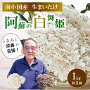 【ふるさと納税】【熊本県阿蘇・南小国産】うまみ＆栄養が自慢♪の生まいたけ「阿蘇の白舞姫」1kg（約3株）