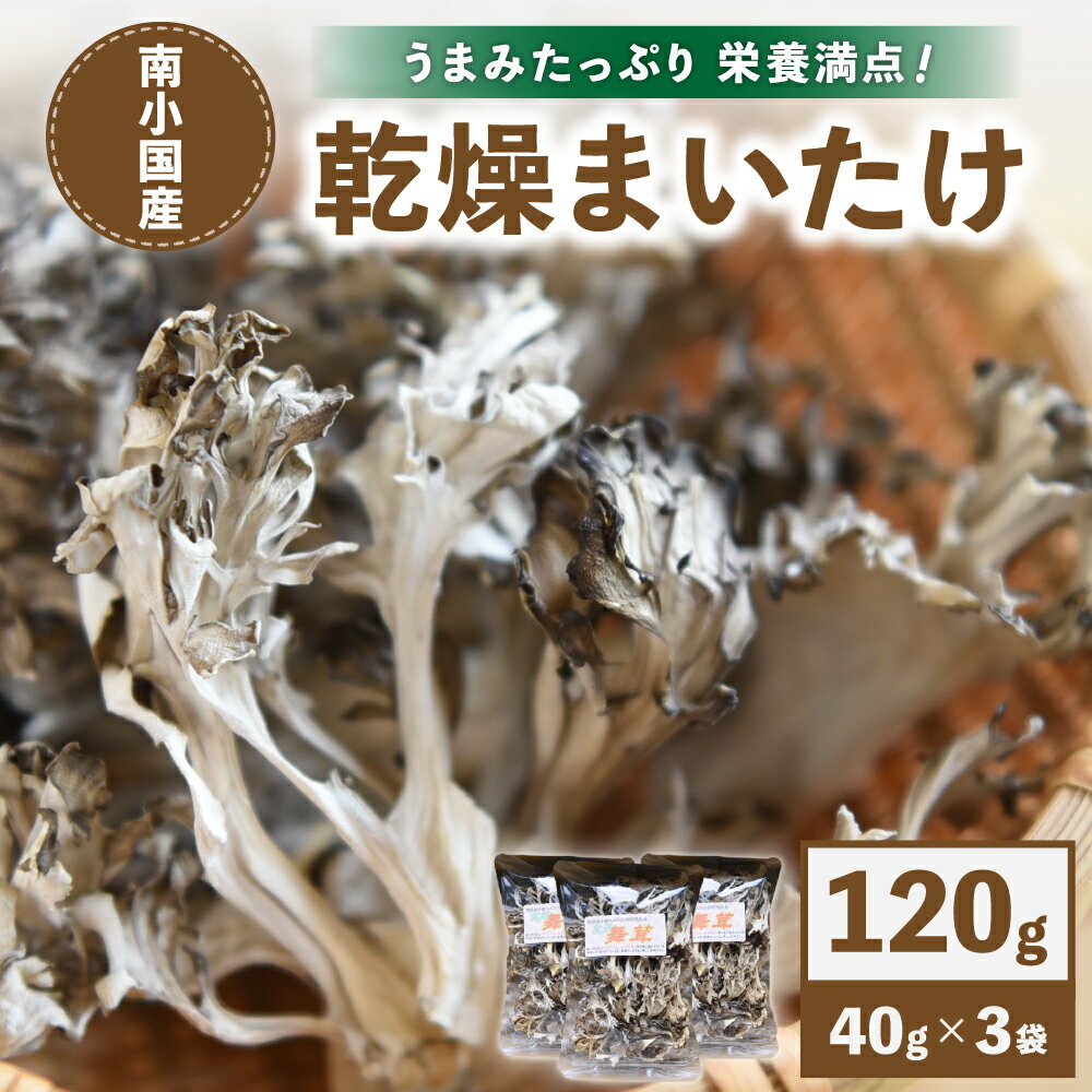 乾燥まいたけ 40g 3パック 栄養満点 乾燥野菜 南小国町産 ギフト 贈答用 熊本 阿蘇 南小国町 送料無料