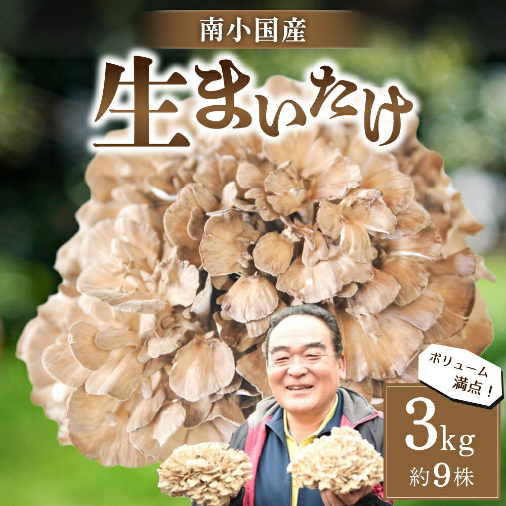 商品説明 謝礼品名生まいたけ3kg（約9株） 内容量生舞茸3kg 消費期限到着後、冷蔵もしくは野菜室（10℃以下）にて保管し、開封後は速やかにお召し上がり下さい。 原産地熊本県　南小国町 事業者ASO小国ファーム ・ふるさと納税よくある質問はこちら 【注意事項】 ・寄付申込みのキャンセル、返礼品の変更・返品はできません。あらかじめご了承ください。 ・寄附者様の都合により返礼品がお届けできない場合、返礼品の再送は致しません。あらかじめご了承ください。 ・複数の返礼品を選択頂いた場合、個別発送になることもありますことを予めご了承ください。□ 自治体におまかせ 南小国町を応援いただき心よりお礼申し上げます。南小国町は人口約4,000人程度の小さな町です。 小さな町だからこそ町民一人ひとりの意見を反映させ、誰もが笑顔で安心して暮らせる町づくりを目指しています。 小さな町のため、歳出予算の規模が小さく、寄附金の使途を限定すると、様々な状況に合わせて寄附金を活用する事が困難になってしまいます。 寄附金使途の指定をしたいというご意見も寄せられていますが、より有効的に寄附金を活用させていただくために、「自治体おまかせ」一択とさせていただいております。 ご理解のほどよろしくお願いいたします。 【南小国産！スーパーにあるまいたけとは一味違う！こだわりの“生まいたけ”3kg】 近年、メディア等でも注目されている栄養価の高い“まいたけ”。 九州地方で生産体制が確立されているのは、長崎県島原と、ここ熊本県南小国町の二箇所のみ！（少量の個人生産は含まない） 食物繊維・各種ビタミン・亜鉛などを含み栄養価に優れる舞茸は、天ぷらや混ぜご飯、味噌汁の具に炒め物など、様々な料理にお使い頂けます。 自然の贈り物を是非ご家庭でご賞味下さい！ 【具体的な栄養価】 ●カリウム:高血圧予防や尿酸値低下などの効果があるとされる ●亜鉛:たんぱく質や骨の発育に必要な栄養素、また新陳代謝を改善し免疫アップの効果を見込める ●ビタミンD:健康な歯や骨をつくるために必要な栄養素 ●ナイアシン:口内炎、皮膚炎、動脈効果、不眠などの予防効果を見込める ●食物繊維:便秘解消、腸内環境を整える、肥満や高血圧の予防、ダイエット効果など期待できる ●アミノ酸:運動後の疲労回復、肝機能向上、睡眠の質の向上などがあるとされる ●βグルカン:免疫力アップ、抗がん作用を期待できる ●MXフラクション:肝臓におけるブドウ糖の合成を抑え、インスリン受容体の感受性を高めるとされる 【配送期日】 寄附完了後、順次発送いたします。 （舞茸の生育状況により、発送期日が前後する場合あり） 出荷後はメールにて通知いたしますのでメールが届くまでお待ちください。 出荷時期に長期不在等がある場合は備考欄にご入力ください。 × 配送日、出荷時期の指定不可 【他謝礼品を含む複数の品をお選びの場合でも、品毎に出荷いたします。】