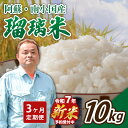 【ふるさと納税】【予約受付】【3ヶ月定期便】令和7年産・新米 瑠璃米 10kg 3ヶ月 定期便 南小国産 精米 5kg 2袋 米 白米 お米 ご飯 産地直送 熊...
