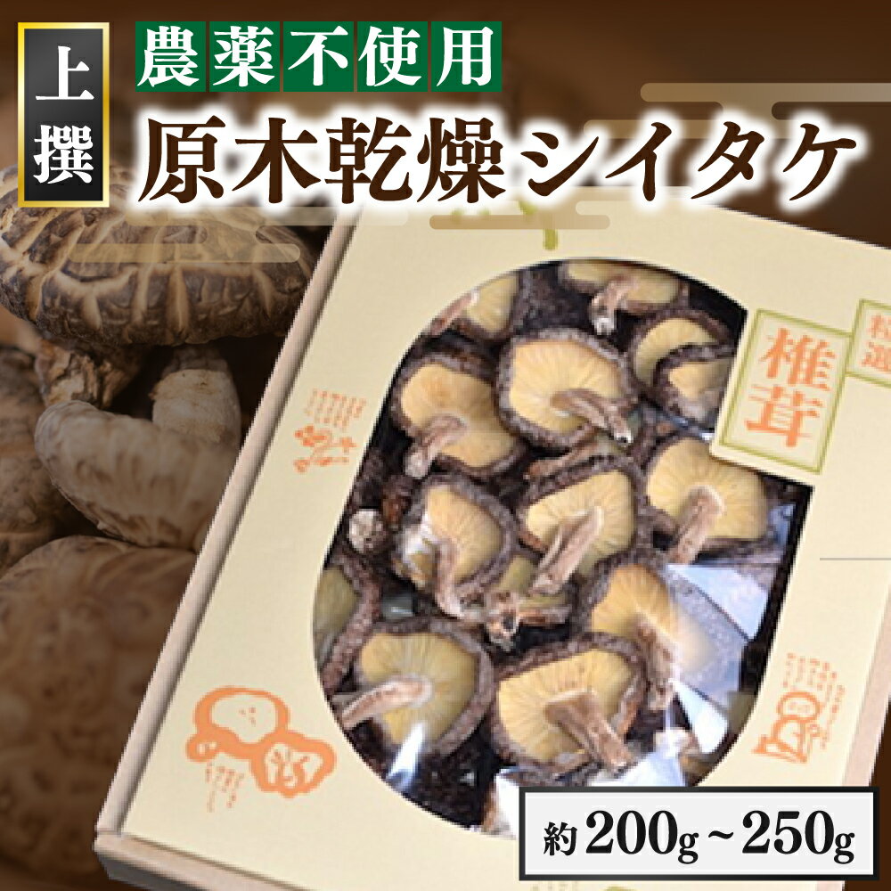 【ふるさと納税】南小国町産 乾燥シイタケ 農薬不使用 無農薬 原木椎茸 干し椎茸 しいたけ 国産 日和子 どんこ お歳暮 ギフト 贈答用 熊本 南小国町 送料無料のサムネイル