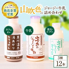 【ふるさと納税】 ジャージー牛乳 詰め合わせ お試しセット 飲むヨーグルト 牛乳 200ml カフェオレ コーヒー牛乳 ギフト 贈答 セット 飲料 ご当地牛乳 グランプリ 最高金賞 熊本 阿蘇 南小国 山吹色のジャージー牛乳 黒川温泉 最高金賞 送料無料