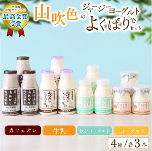 【ふるさと納税】 黒川温泉 山吹色のジャージーヨーグルト よくばりセット 4種 ジャージー牛乳 飲むヨーグルト カフェオレ プレーン 詰め合わせ セット 乳製品 飲料 腸活 免疫力アップ 乳酸菌 ご当地牛乳グランプリ 最高金賞 ギフト 山のいぶき 熊本 阿蘇 南小国 送料無料