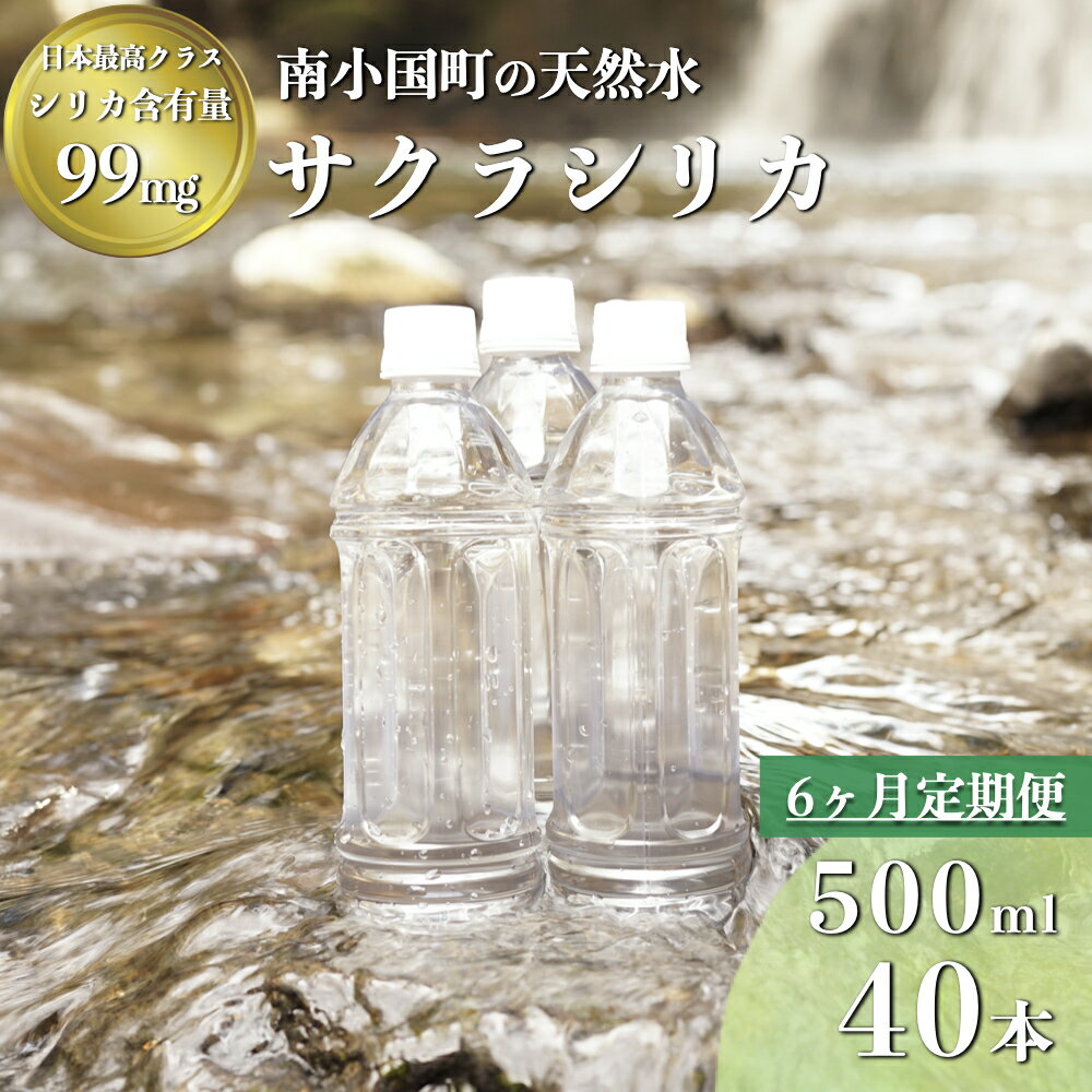 6ヶ月 定期便 サクラシリカ 天然水 500ml 40本 南小国町 ミネラルウォーター 水 シリカ 熊本 阿蘇 送料無料