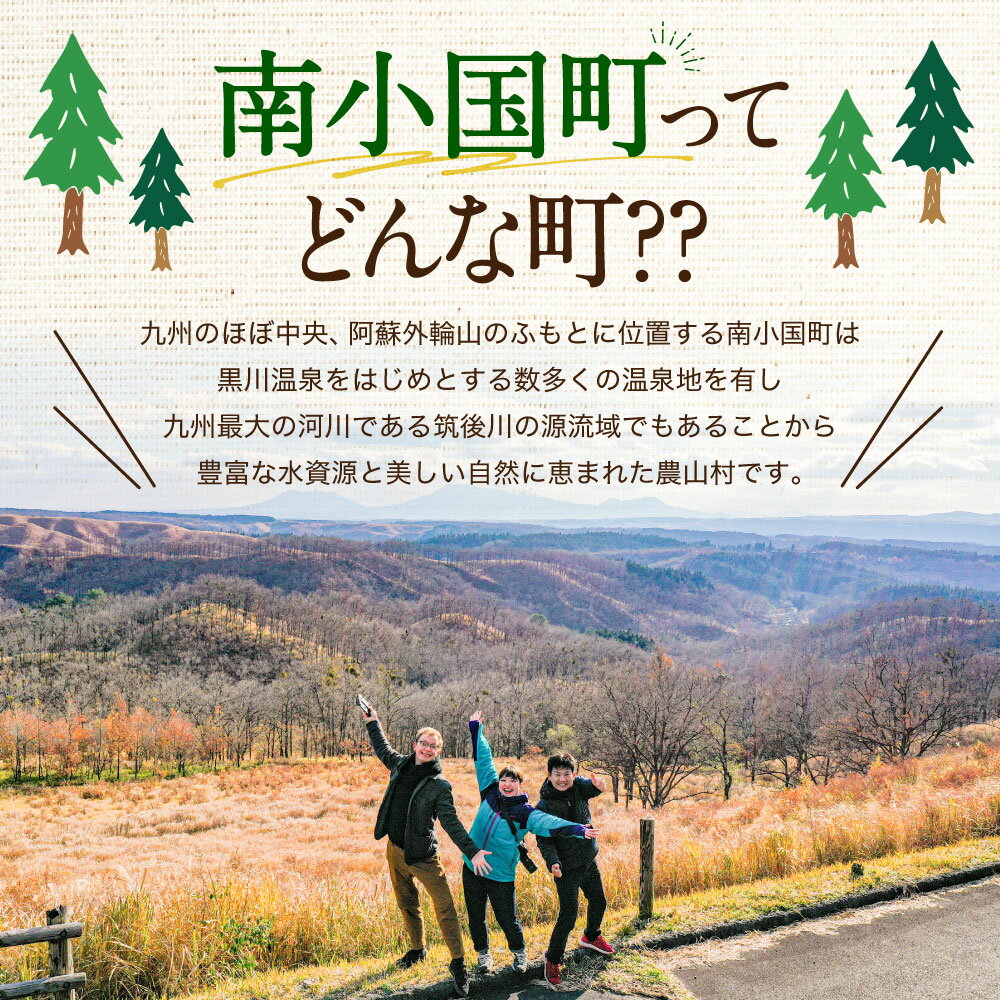 【ふるさと納税】熊本県南小国町の対象施設で使える楽天トラベルクーポン寄付額30,000円 熊本県 南小国町 黒川温泉 黒川 瀬の本 瀬の本高原 小田温泉 白川温泉 田の原温泉 楽天トラベルクーポン 9,000円分