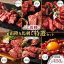 【ふるさと納税】ふじ馬刺し 特選霜降り 馬刺し セット 450g 6種 メン 三枚バラ 大トロ 中トロ チョーチン イチボ ユ…