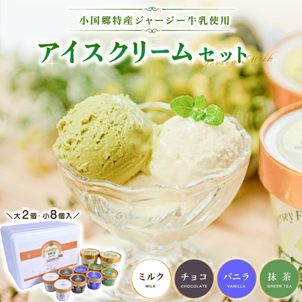  小国郷特産 ジャージー牛乳 アイスクリーム セット 10個 480ml 130ml バニラ 抹茶 チョコ ミルク 氷菓 アイス 詰め合わせ ギフト 贈答 熊本 阿蘇 南小国 送料無料