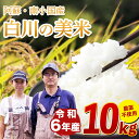 【ふるさと納税】令和6年産 白川の美米 10kg 令和6年産 南小国産 玄米 白米 3分づき 5分づき 7分づき 森のくまさん 精米 米 5kg 2袋 お米 ご...