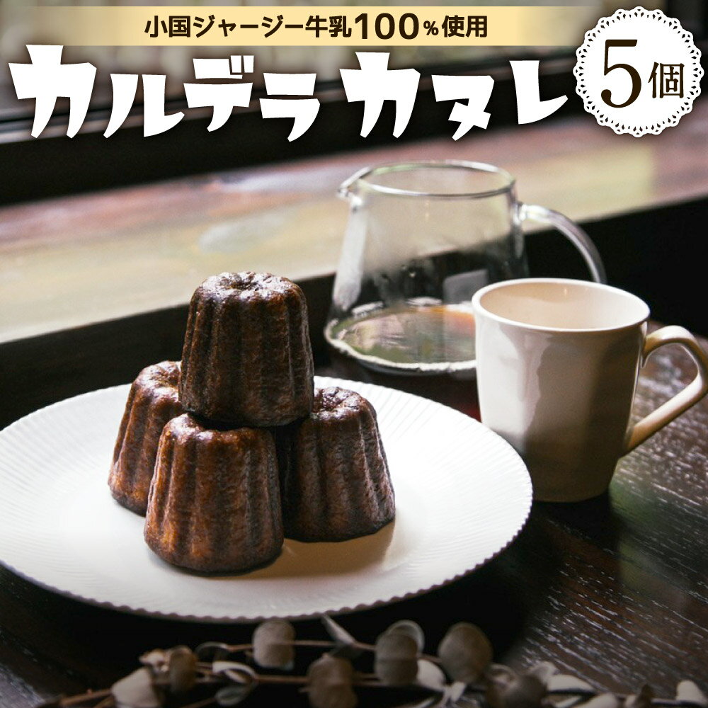 りんご(サンふじ)5kg 11~20玉 ご家庭用 0056-2223| ふるさと納税バイブル りんご(サンふじ)5kg 11~20玉 ご家庭用 0056-2223| ふるさと納税バイブル