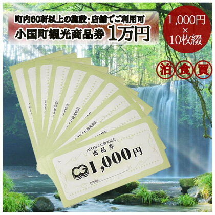 熊本 阿蘇 小国町 杖立温泉 わいた温泉郷 湯けむり 蒸し湯 あか牛 馬刺し ジャージー牛乳 旅行 観光 宿泊 飲食 お買い物 お土産 商品券 宿泊券 1000円×10枚 1万円 10000円 現地払い利用可 地域振興 旅行支援 送料無料【地場産品基準：類型7】