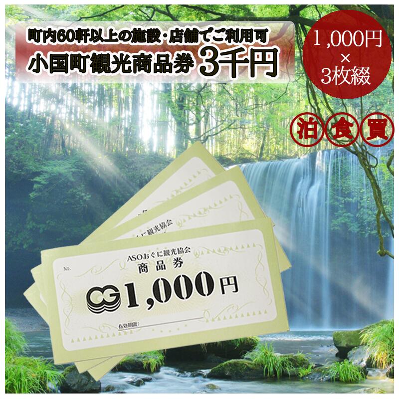 【ふるさと納税】熊本 阿蘇 小国町 杖立温泉 わいた温泉郷 湯けむり 蒸し湯 あか牛 馬刺し ジャージー牛乳 旅行 観光 宿泊 飲食 お買い物 お土産 商品券 宿泊券 1000円×3枚 3千円 3000円 現地払い利用可 地域振興 旅行支援 送料無料【地場産品基準：類型7】