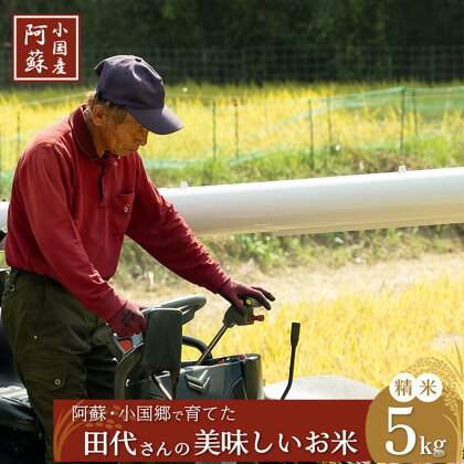 令和5年産 産直 ノンブレンド米 単一原料 お米 白米 精白米 銘柄おまかせ あきげしき ひのひかり こしひかり お中元 贈答 ご家庭用 ふるさと納税 阿蘇 小国町 産地直送 国産 日本産 地場産 田代さんのお米5kg 精米 送料無料【地場産品基準：類型1】