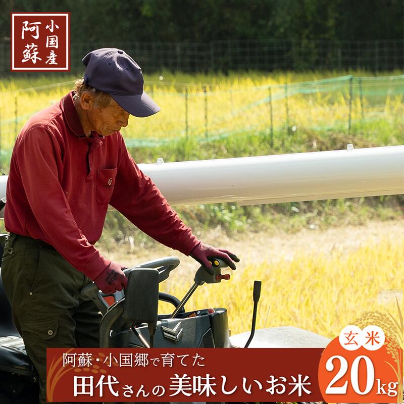 【ふるさと納税】令和5年産 産直 ノンブレンド米 単一原料 