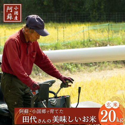 令和5年産 産直 ノンブレンド米 単一原料 お米 玄米 銘柄おまかせ あきげしき ひのひかり こしひかり お中元 贈答 ご家庭用 ふるさと納税 阿蘇 小国町 産地直送 国産 日本産 地場産 田代さんのお米20kg お好きな分搗きに 送料無料【地場産品基準：類型1】