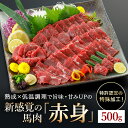 【ふるさと納税】＜出荷月指定あり＞馬肉 赤身 特許製法 氷温