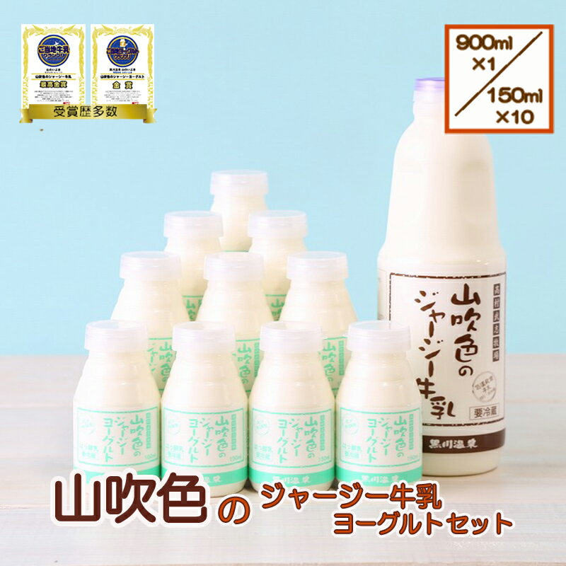 【ふるさと納税】ゴールデンミルク 牛乳 900ml 飲むヨーグルト 150ml 詰め合わせ ギフト 贈答 セット 飲料 熊本 阿蘇 小国郷 小国町 最高金賞 山吹色のジャージー牛乳 最高金賞 金賞 味の評価審査賞 購買意欲審査賞 味覚賞 送料無料