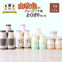 【ふるさと納税】山吹色のジャージー牛乳 飲むヨーグルト 湯あがりカフェオレ プレーンヨーグルト ざらめ 各3本 計12本 乳脂肪分 5%以上 低温殺菌 素材の味...