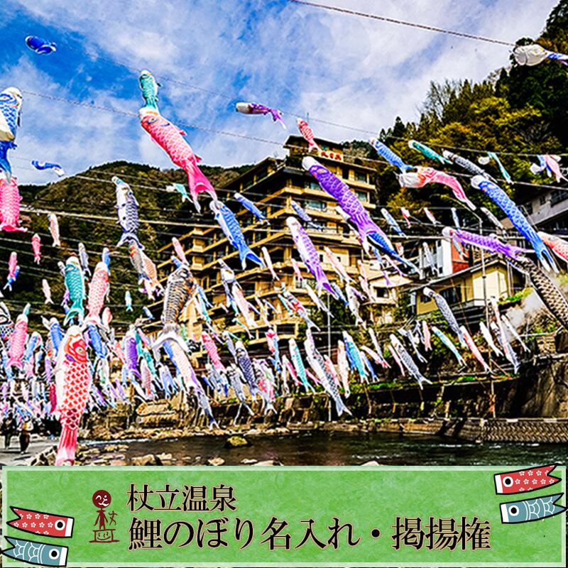 先行予約 令和7年度 受付開始 熊本 阿蘇 杖立温泉 鯉のぼり祭 鯉のぼり 名入れ お子様 お孫様 端午の節句 特別な贈り物 年に一度 期間限定 イベント 映えスポット 送料無料