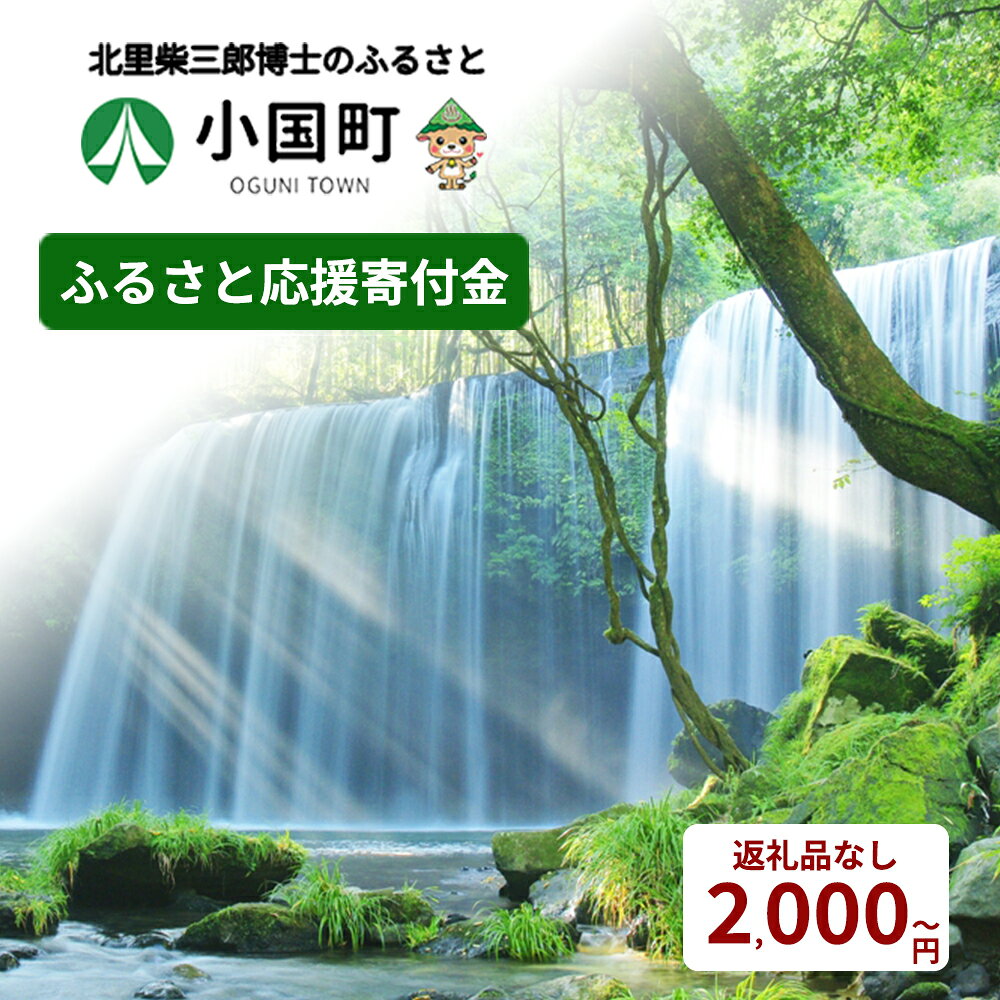 [返礼品なし]ふるさと応援寄付金 自治体支援 応援寄附額 1000円 5000円 10000円 50000円 100000円 寄附のみ 熊本県 小国町 SDGs未来都市