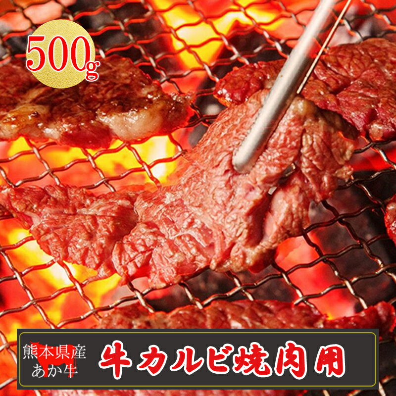 産地直送 くまもと 熊本 阿蘇 あか牛 カルビ バラ 500g 赤身 焼肉 BBQ バーベキュー 矢野畜産 老舗 おうちごはん おうち時間 おうち焼肉 通販 贈答 お中元 冷凍 送料無料