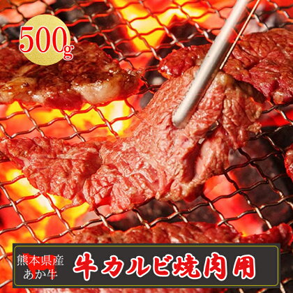 産地直送 くまもと 熊本 阿蘇 あか牛 カルビ バラ 500g 赤身 焼肉 BBQ バーベキュー 矢野畜産 老舗 おうちごはん おうち時間 おうち焼肉 通販 贈答 お中元 冷凍 送料無料