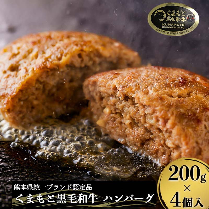 12位! 口コミ数「0件」評価「0」寄付額改定 A4 A5 黒毛和牛 藤彩牛 肉 ハンバーグ 200g 大判 4個 800g ギフト 誕生日 内祝 お祝い お礼 プレゼント 贈･･･ 