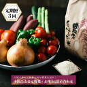 19位! 口コミ数「0件」評価「0」定期便 3ヶ月 産直 野菜セット 3回お届け おまかせ 10品 小国産米 お米 5kg 阿蘇 小国町 産地直送 国産 ギフト プレゼント 贈･･･ 