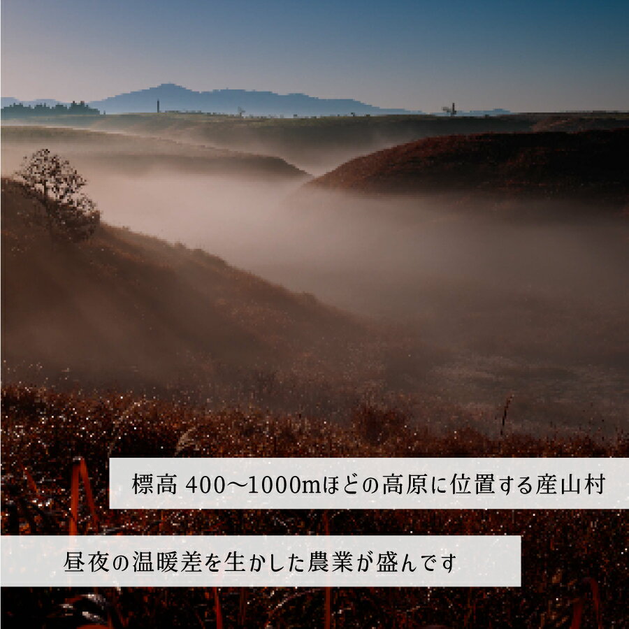 【ふるさと納税】＜令和5年度新米定期便＞うぶやま高原米（コシヒカリ2kg×2袋）×3回