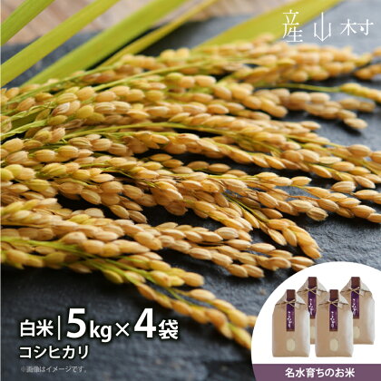 ＜令和5年米＞熊本県阿蘇うぶやま産こしひかり5kg×4袋【1308736】