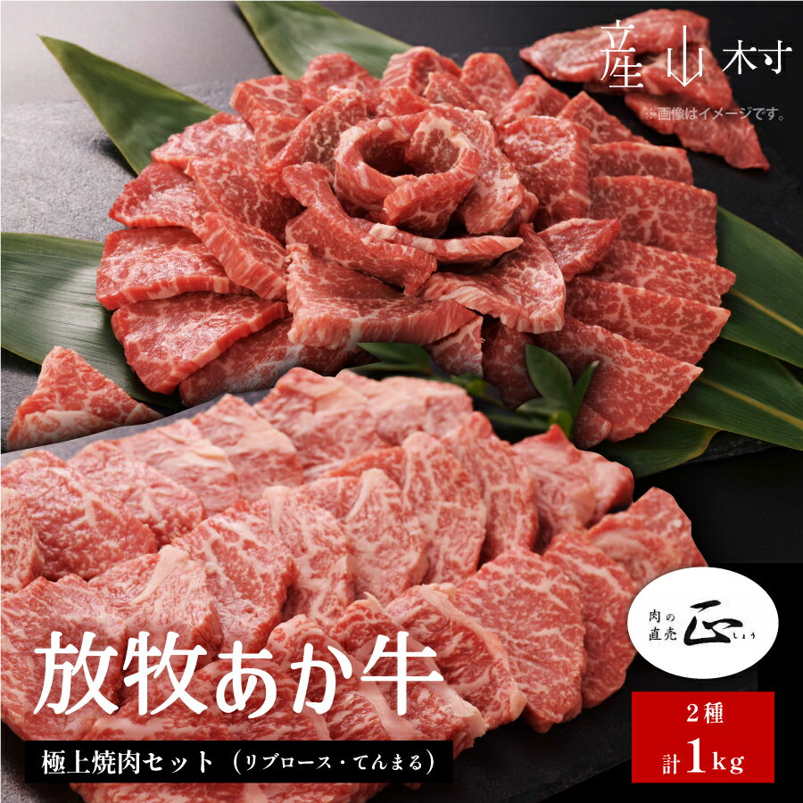 【ふるさと納税】 阿蘇うぶやま村の放牧あか牛極上焼肉セット1kg リブロース てんまる たっぷり BBQ 焼き肉 赤身 和牛 牛肉 牛 国産 あか牛 焼肉正 人気 ギフト 詰め合わせ 贈り物 お中元 お歳暮 贈答 熊本 阿蘇 産山村 送料無料