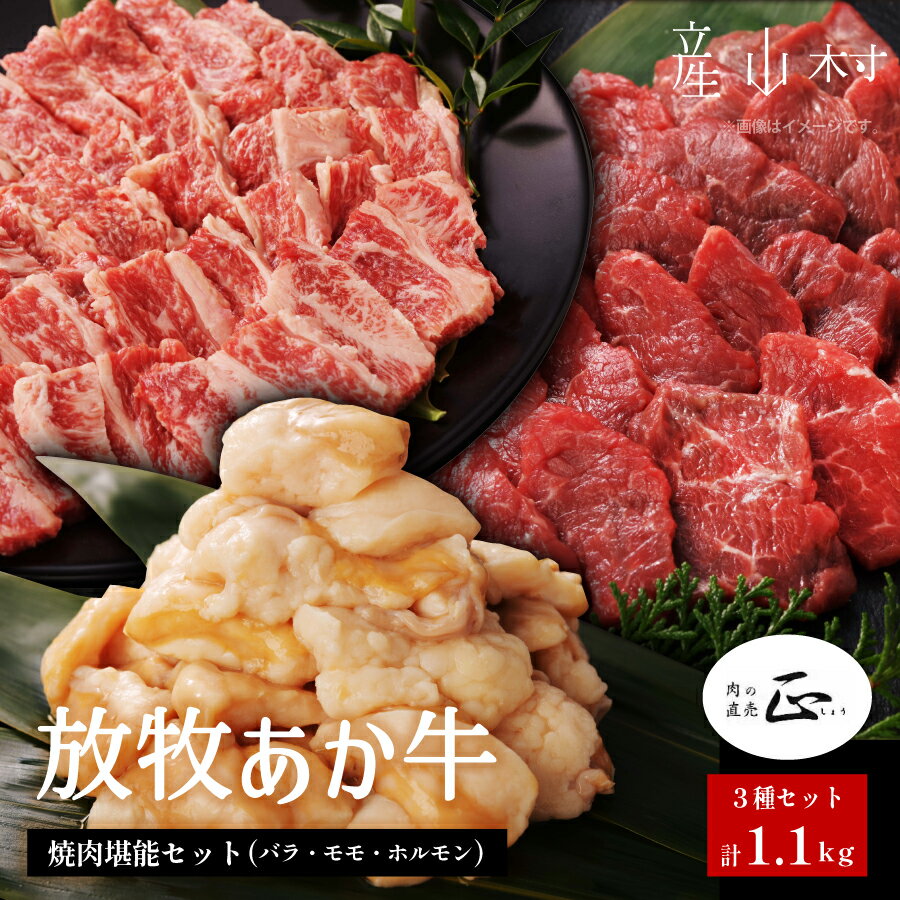 【ふるさと納税】 うぶやま村 放牧 あか牛 焼肉 堪能セット 1.1kg 特選バラ モモ ホルモン 赤身 詰め合わせ セット BBQ 焼き肉 和牛 牛肉 牛 国産 あか牛 くまもとあか牛 大容量 焼肉正 人気 ギフト 詰め合わせ 贈り物 お中元 お歳暮 贈答 熊本 阿蘇 産山村 送料無料